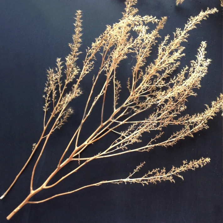 Miniature model  Chenopodium spinosum  Train sand table  War scene model  DIY transformation materials 2