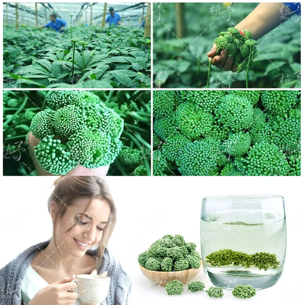 俄1007