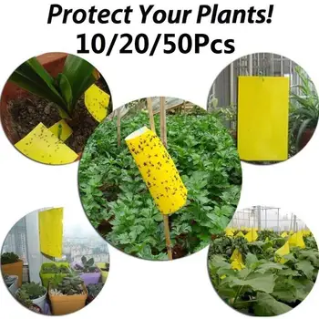 

10/20/50Pcs Strong Flies Bugs Sticky Traps Sticky Board Garden Catching Aphid Insects Killer Pest Control Whitefly Thrip Sticker
