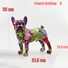 French Bulldog B