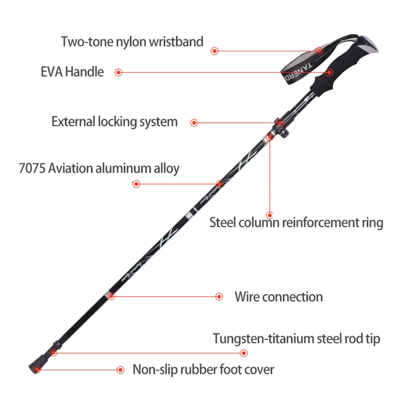 Walking Stick10 (2)
