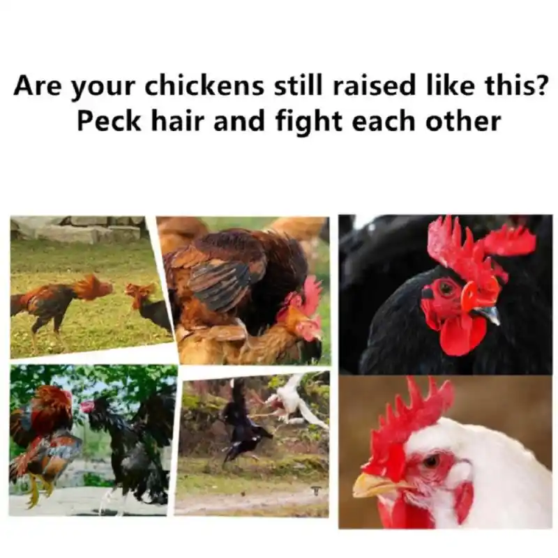 10 pçs equipamento de criação de frango faisão frango óculos de proteção vermelho macio galo poeding galinhas faisão anti-bicking óculos