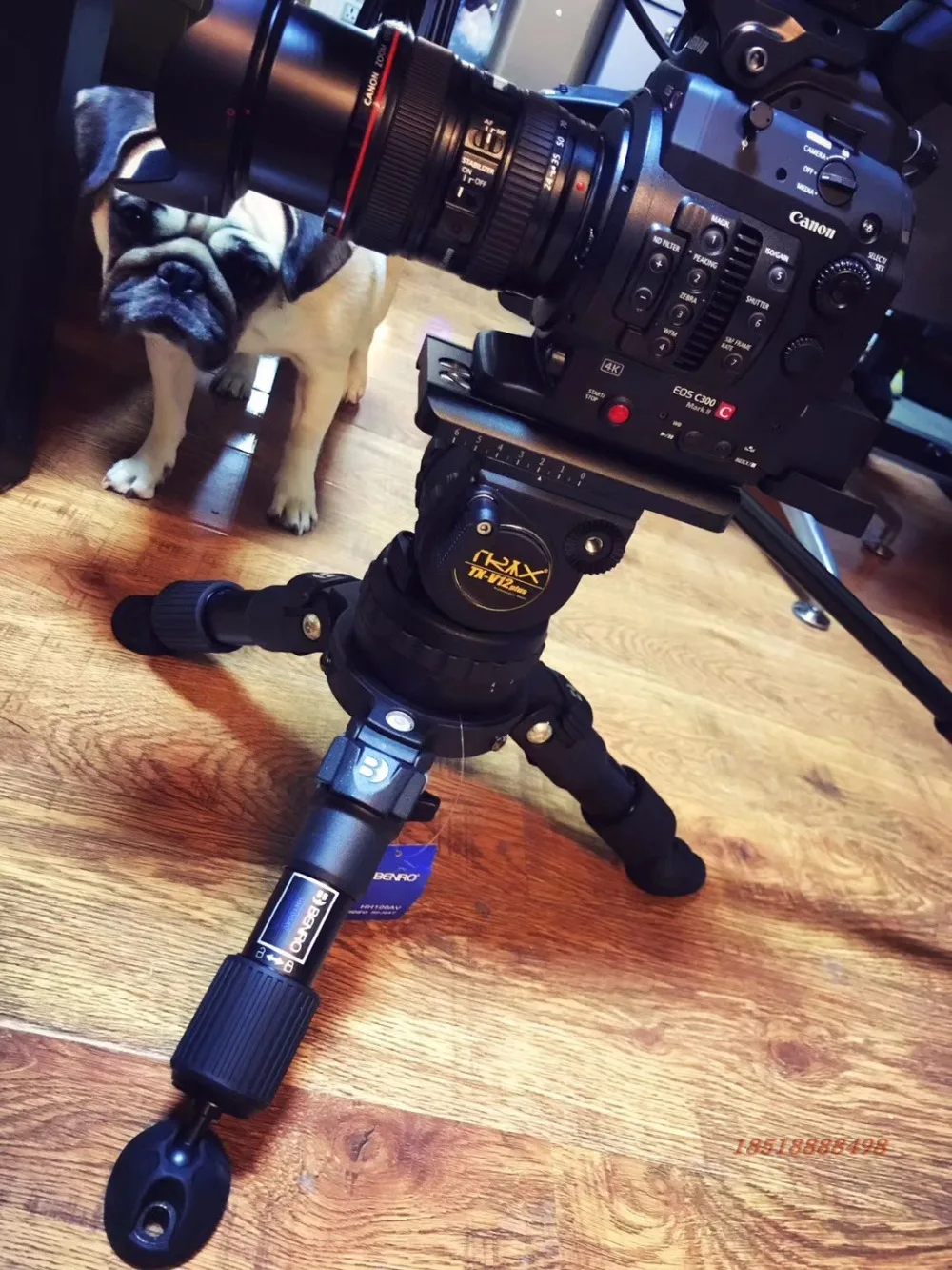 O1CN01QQ4nEh2Cv4vpH9Ypw_!!898068535