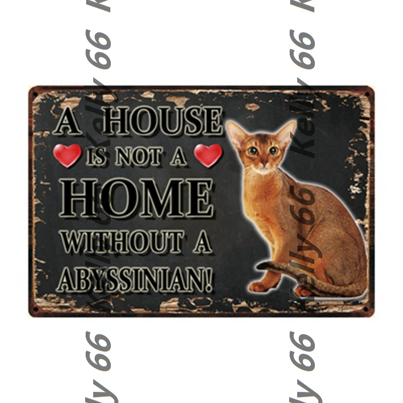 [Kelly66] Домашние животные кошка Ocicat сиамская Бенгальская Бомбея Рекс металлический знак оловянный плакат домашний Декор Бар настенная живопись 20*30 см размер Dy97