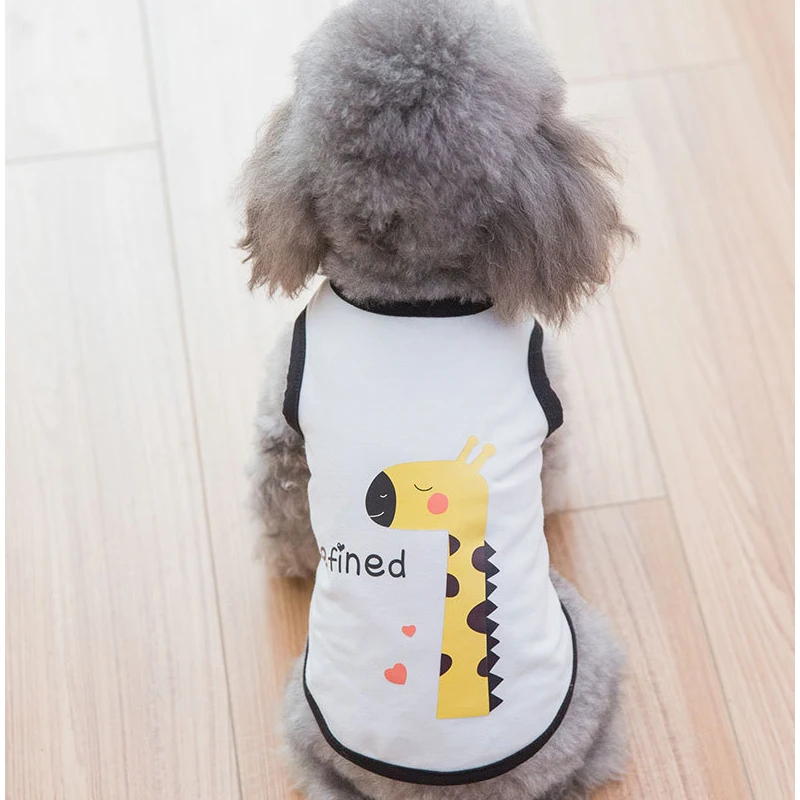 8651121174_859103132