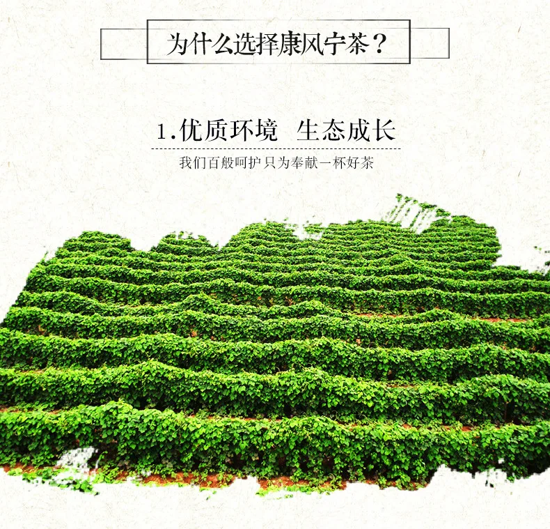 康风宁茶修改_05