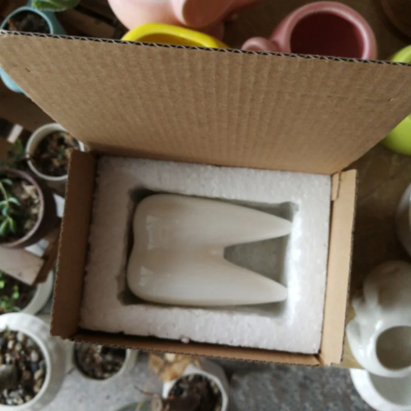 Desktop decoration white ceramic pen holder succulent potted flower pot cute white teeth ceramic flower potT