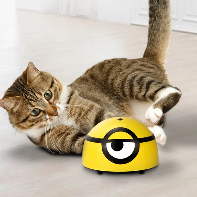 "Catch Me If You Can" Cat Toy