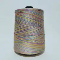 Soft Smooth Fancy Space Dye 8 Ply 100% Pure cotton Yarn Baby Organic Lace Cotton Crochet Knit Sewing Weaving Thread 500g X5309 2