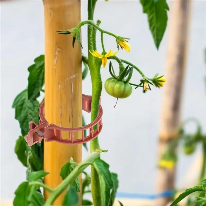 Plant Clips 100pcs Trellis Clip Accessories Hangers Greenhouse Tomato Stem Clips plant clips,plastic plant clips,plant stem support,flower stem holder