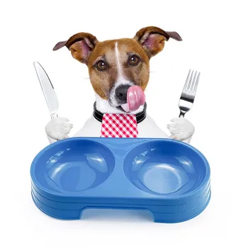 

Dog Candy Color Feeder Dog Double Plastic Bowls Food Container Pet Water Feeding Dish Dogs Bowl