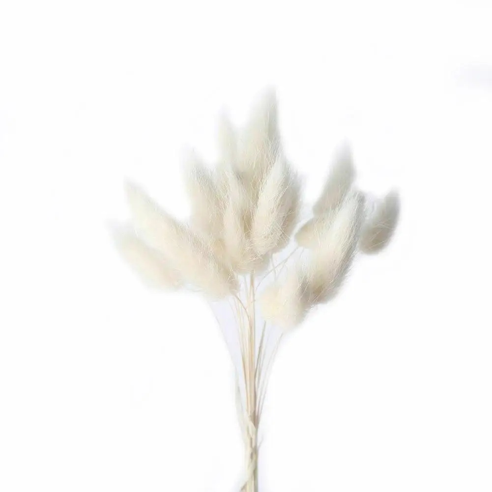 30 шт./компл. Натуральные сушеные цветы кролик хвост трава цветная настоящая для