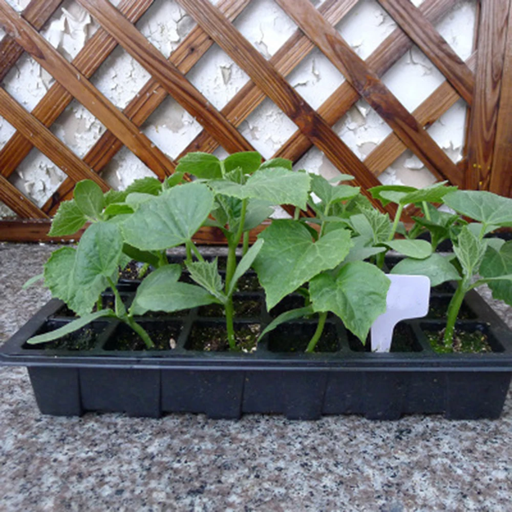 

24 Cell Tray Starter Trays Plant Grow Starting Germination Trays [3]