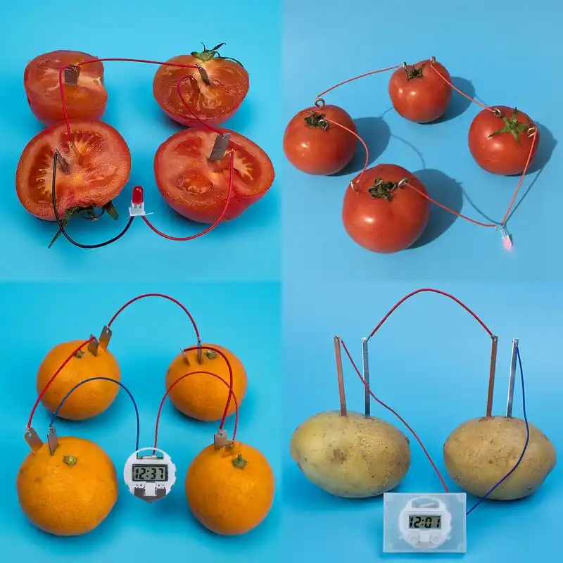 potato science kit