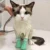 4ШТ AntiScratch Cat Shoes Boots Pet Nail Cover Protector Scratch Перчатки Cat Paw Protector Pet Grooming Пинетки Ванна Чехол Для Ног