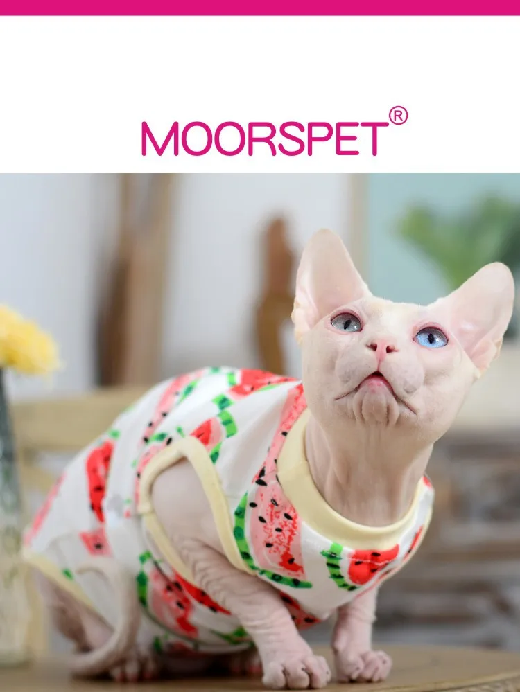 h2+Xif2nxdR3mZ01XMtmQMYANc9VBh337/bF