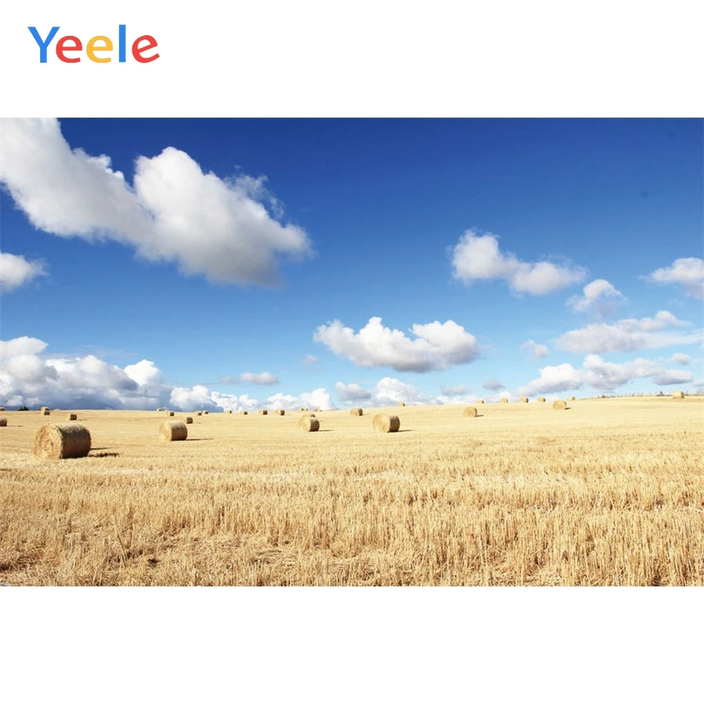 

Yeele Autumn Farm Wheat Field Hay Harvest Scene Photographic Background Custom Vinyl Photography Backdrops For Photo Studio