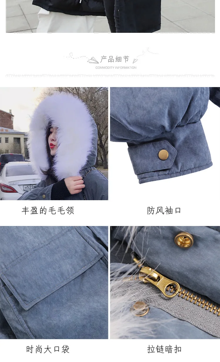 8821Cotton_20.jpg