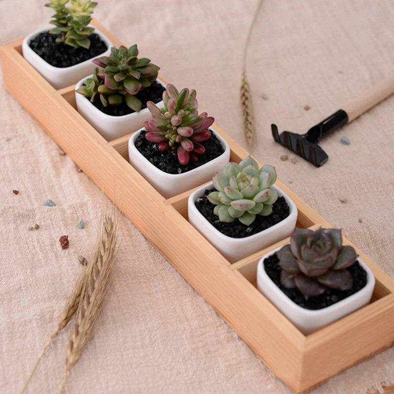 Fleshy Flower Iron Ceramics Flowerpot Wooden Box Succulent Plant Pot Rack Planter Bonsai 5 Grid | Дом и сад
