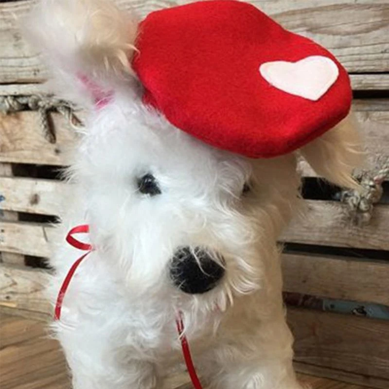 Beret for dog Clearance