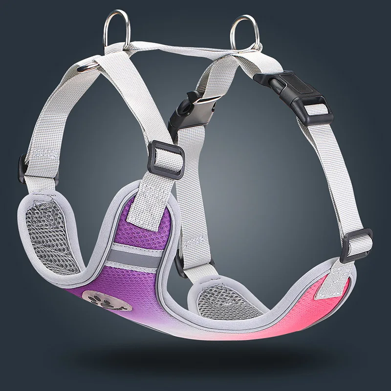 13784180580_1702532688