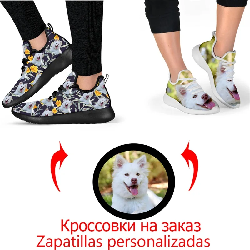 1 Dog