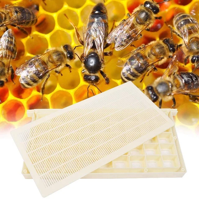 Műanyag Méhkateret Queen Méhek Raktárkirálynő Méh Ketrec Keret Tenyésztés A Qeen Tárolására És Szállítására - Image 6