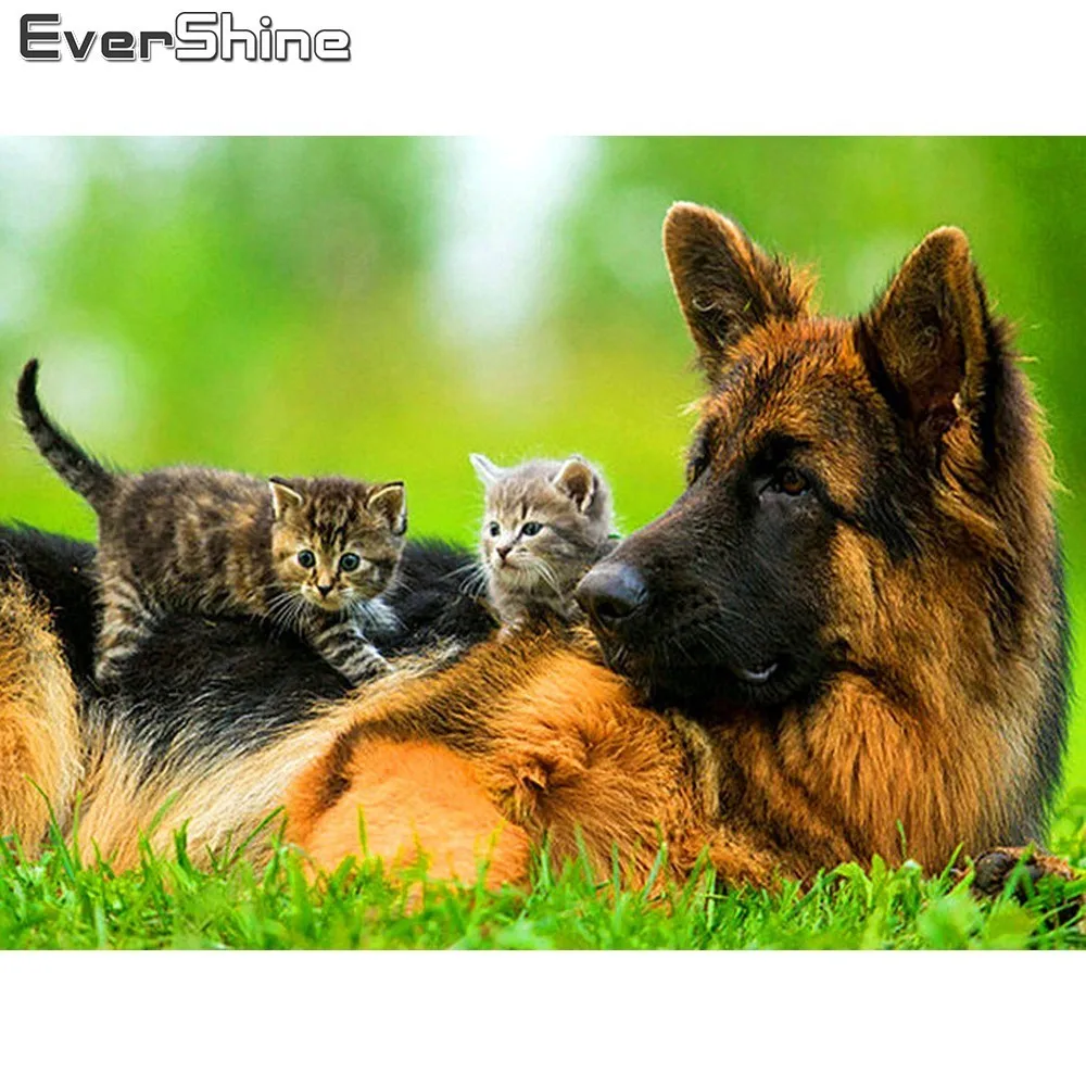 Evershine алмазная живопись полный дисплей животные Алмазная вышивка продажа собака
