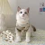 Pet Dog Cat Свитер Одежда Зимняя теплая Водолазка Вязаная Кошка Щенок Одежда Костюм Для Маленьких Собак Кошек Чихуахуа Наряд Жилет