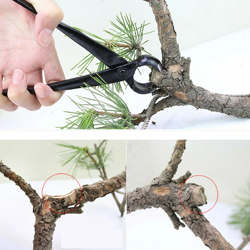 Branch Cutter Concave Cutter Manganese Steel Professional Bonsai Pruning Tools 40 mm Maximum Opening Gardening Tools