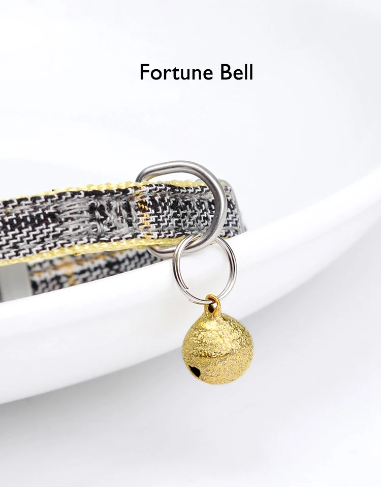 7 - 23582347988_820581130