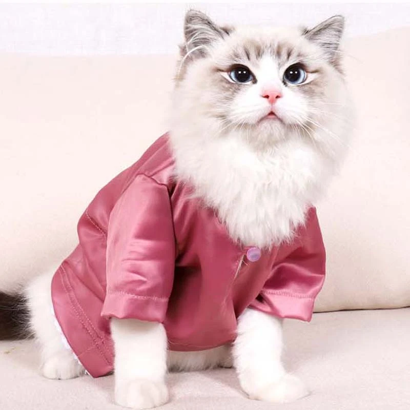 Ropa suave de seda para gatos, pijamas Katten, disfraz de moda de lujo gatos, chaqueta suave y acogedora para pelo|Ropa para gatos| - AliExpress