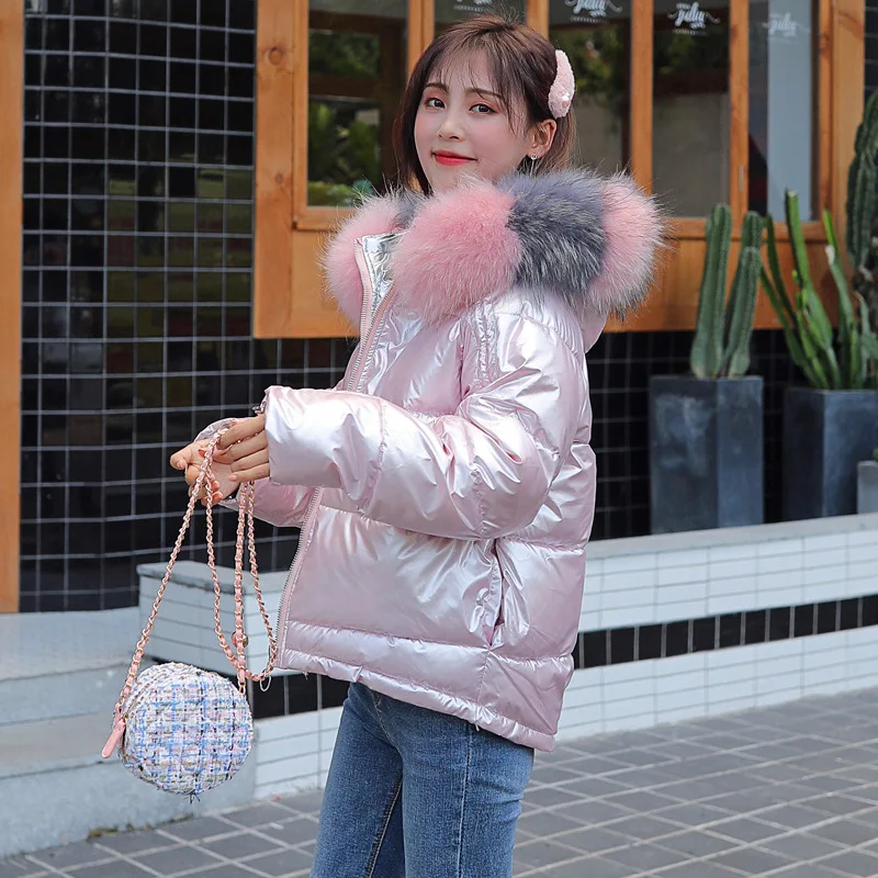 Autumn and Winter New Down Cotton Coat Fashionable and Loose-collared Women's Pure Color Zipper Leisure Down Jackets