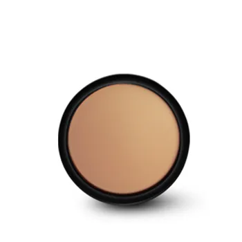 

STARWAY Pressed Powder Oil Control Long Lasting Pallete Concealer Compact Invisible pores Proffession Mirror Pressed Powder