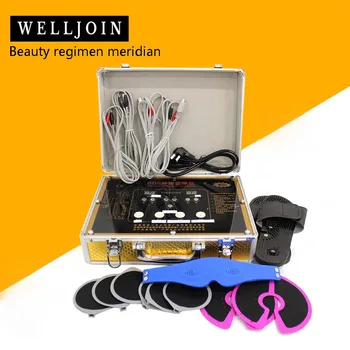Cheap Acid And Alkali Level / Dds Bio-electric Massage / Multi-functional Home Electrotherapy Instrument / Beauty Regimen Meridian Dod