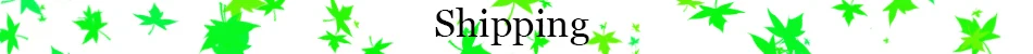 shipping