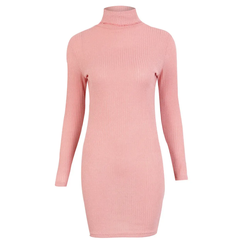 Jaycosin Fashion Womens Casual Long Sleeve Jumper Turtleneck Sweaters Dress Elegant Lovely Chic Comfy Jumper Top Blouse