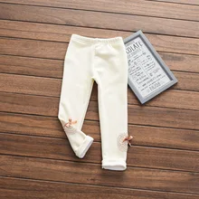 [Код порошка, специальное предложение] г. стиль, Осень-зима, плотные бархатные модные леггинсы для девочек J60889