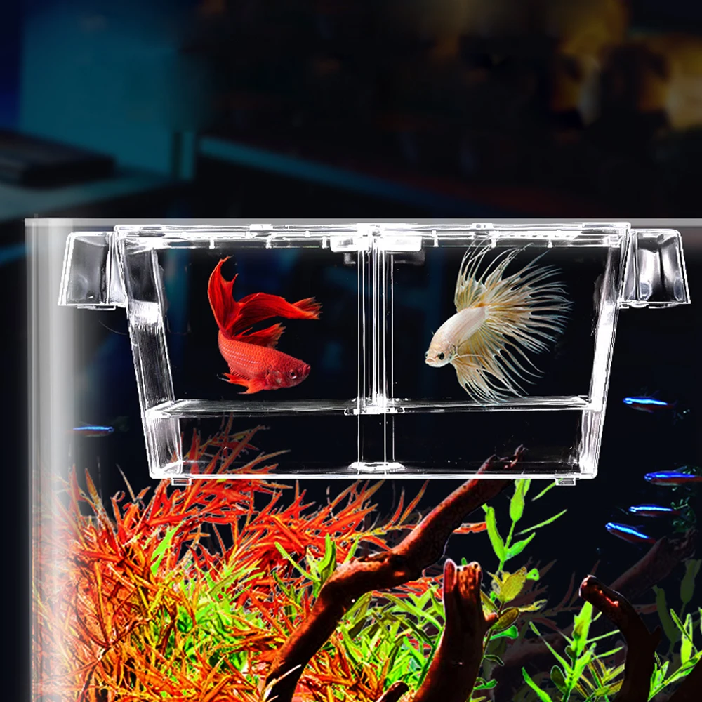 

Behogar Transparent Acrylic Fish Tank Breeding Isolation Box Aquarium Hatchery Incubator Holder with Suction Cups 20 x 10 x 10cm