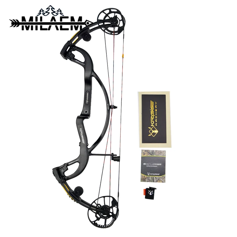 

Adjustable 40-55 lbs To 50-65lbs Archery Hunting Compound Bow With Carbon Fiber Bow Handle Powerful Outdoor Hunting Bow