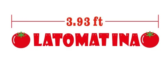 2,9 м Длина нетканый LA TOMATINA Pull флаг баннер томатный узор подвесной флаг реквизит Pull цветы для фестиваля Tomatina
