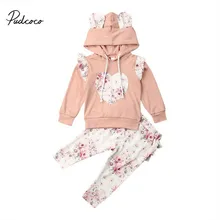 Розовые наряды с цветочным принтом для новорожденных; комплекты одежды для маленьких девочек; свитер с капюшоном и длинными рукавами с милыми медвежьими ушками; брюки; комплект со штанами