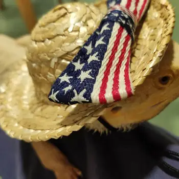 

Pet Straw Hat Lizard Bowknot Hat with Adjustable Neck Strap for small pets such as lizard or bearded dragon