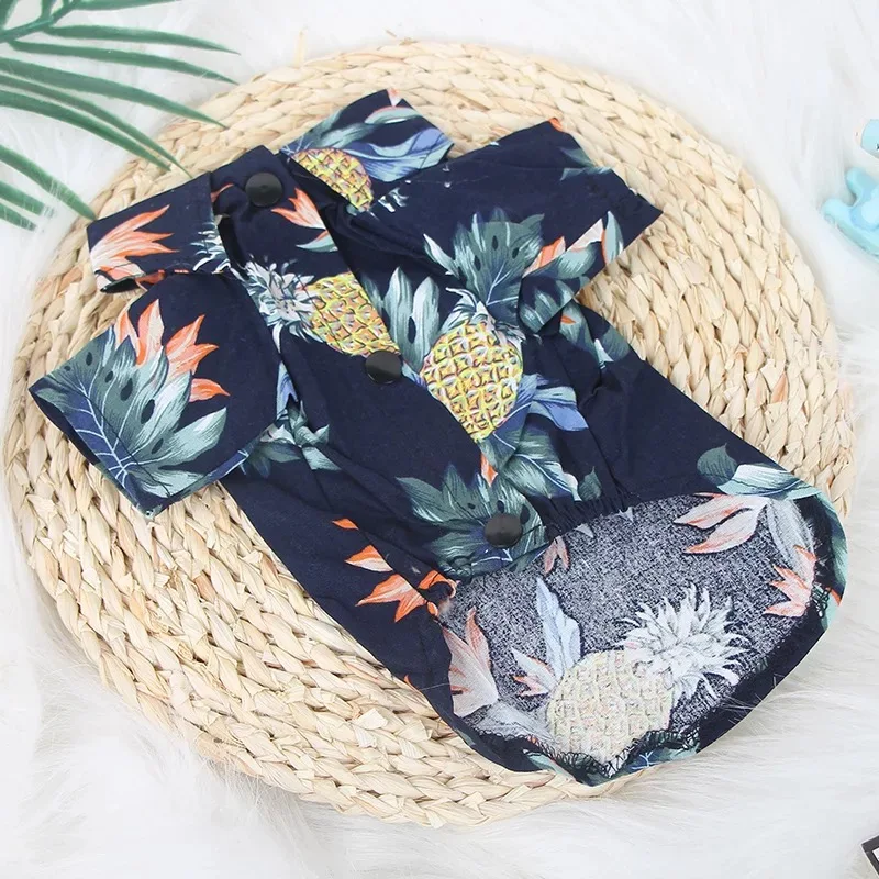 IMG_8340(20200420-194520)