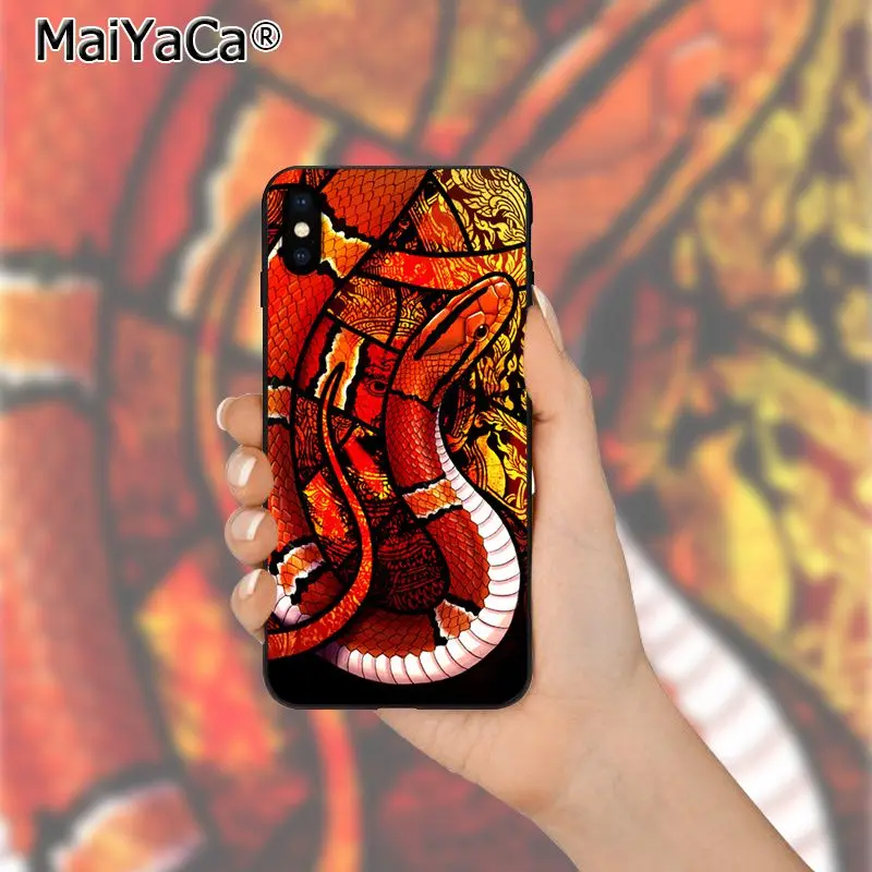 Coral snake animal