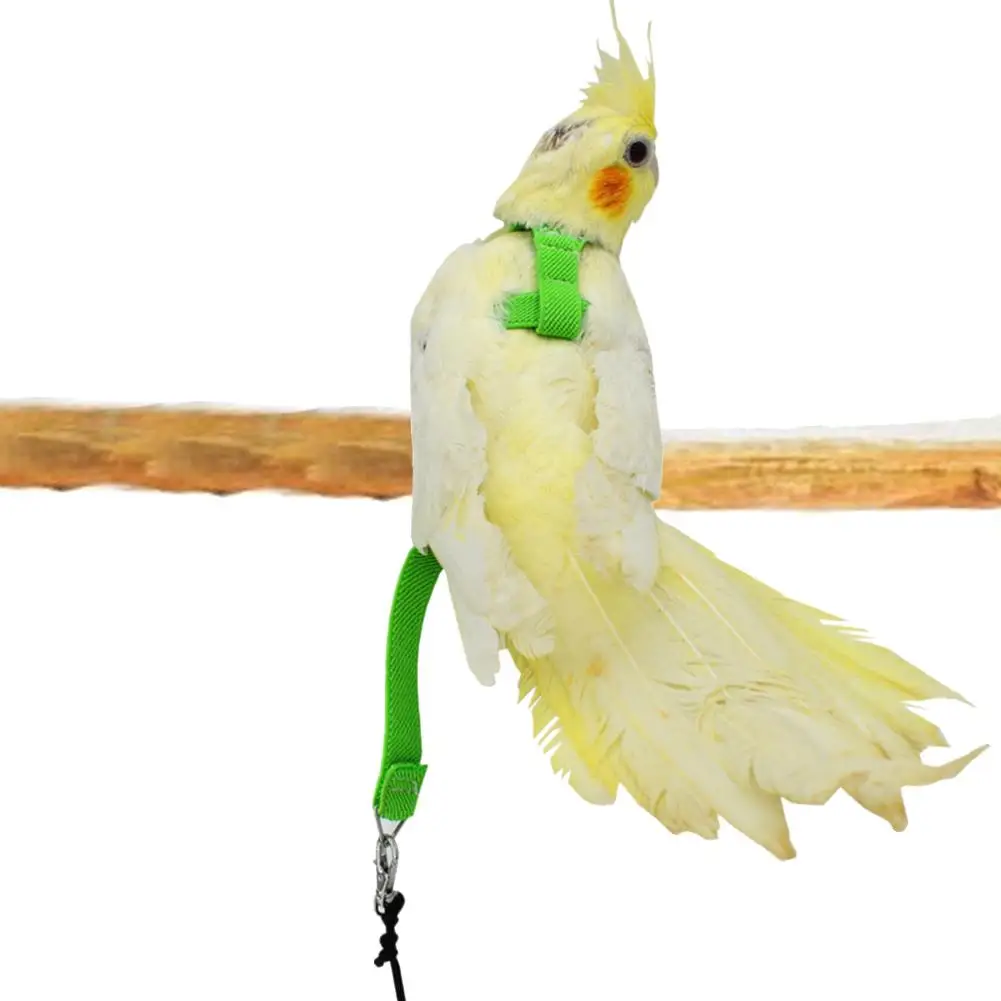 Попугай птичий канат попугай птица поводок Регулируемая цветная упряжь тренировочный канат Летающая поперечная полоса питомец стенд тренировочные аксессуары