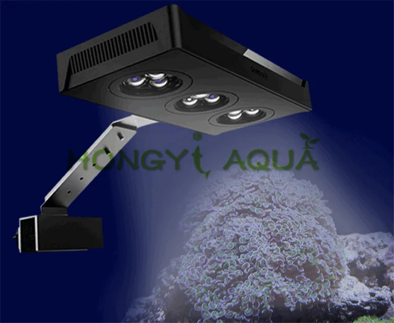 海水珊瑚灯1