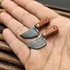 Droshipping Stainless Steel Solid wood Pocket Fixed Blade Knife Mini Tiny Kitchen Knife Blade Keychain Portable Decorations ► Photo 1/6