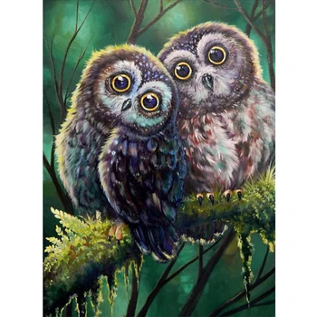 

Full Round Drill 5D DIY Diamond Painting Owl Couple Embroidery Cross Stitch 5D Home Decor Gift