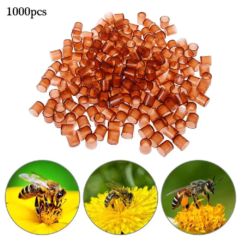 Bee Queen Cell Cup Beekeeping Tools Brown Bee Queen Rearing Cell Cups 1000PCS